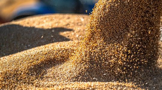 Másfél hónap alatt pont került a Bászna-ügy végére