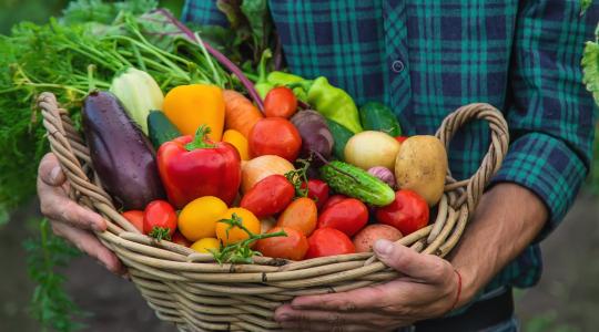 Ne maradj le a csúcsszezonról! Ekkor érkeznek a piacokra a legfinomabb magyar zöldségek és gyümölcsök